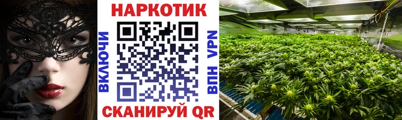 Где купить наркоту Семилуки Амфетамин Alpha PVP Гашиш Кокаин Канабис
