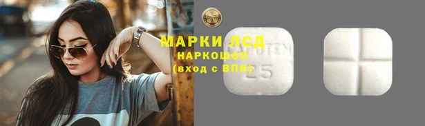 гидра Баксан