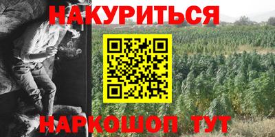 молекула духа Краснознаменск
