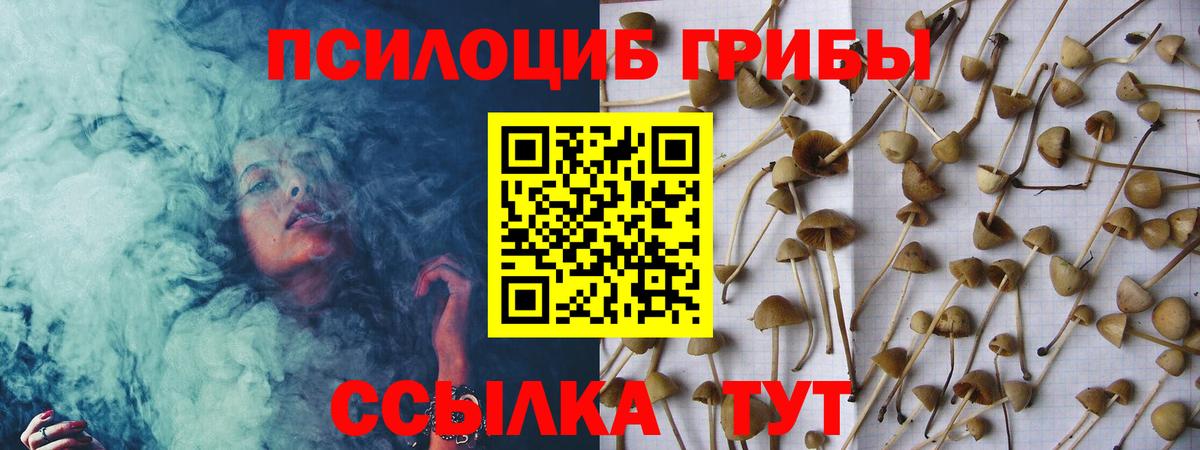 Галлюциногенные грибы Magic Shrooms  Вход с VPN  Семилуки 
